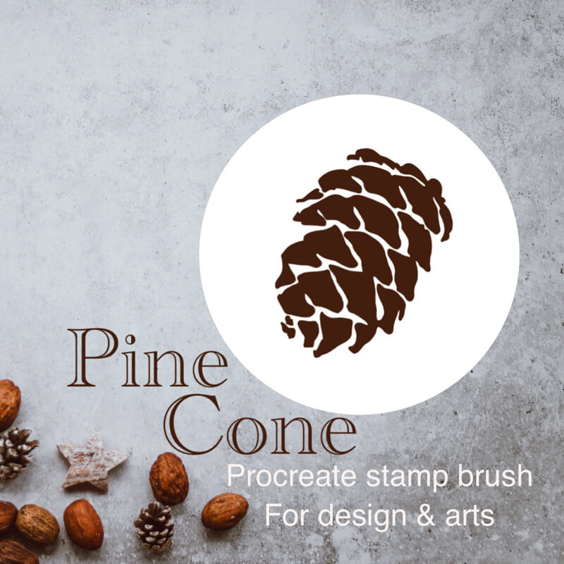 Pine Cone