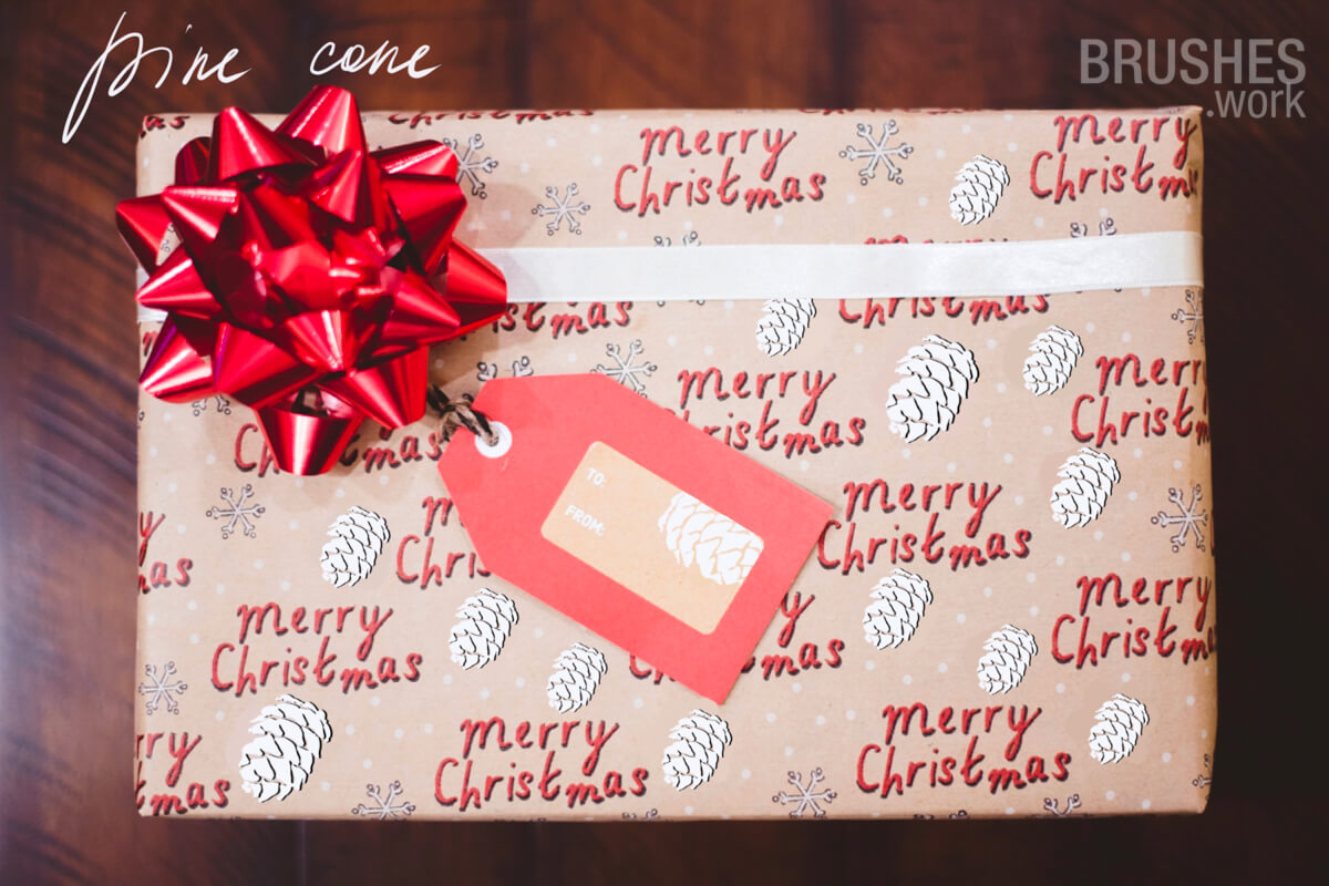 Pine Cone preview 3
