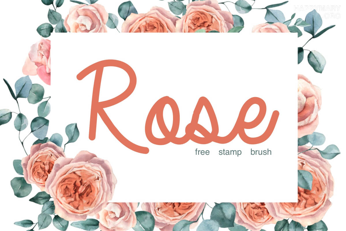 Rose preview 2