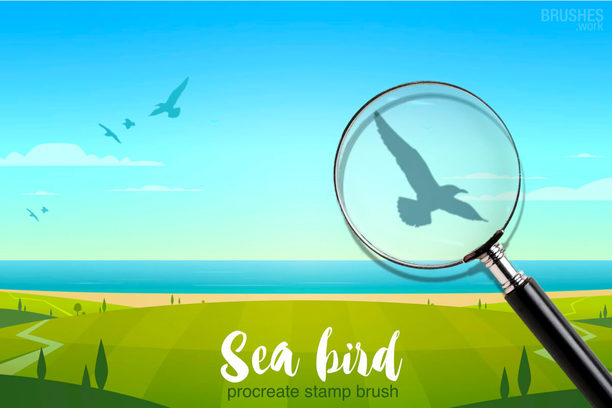 Sea Bird