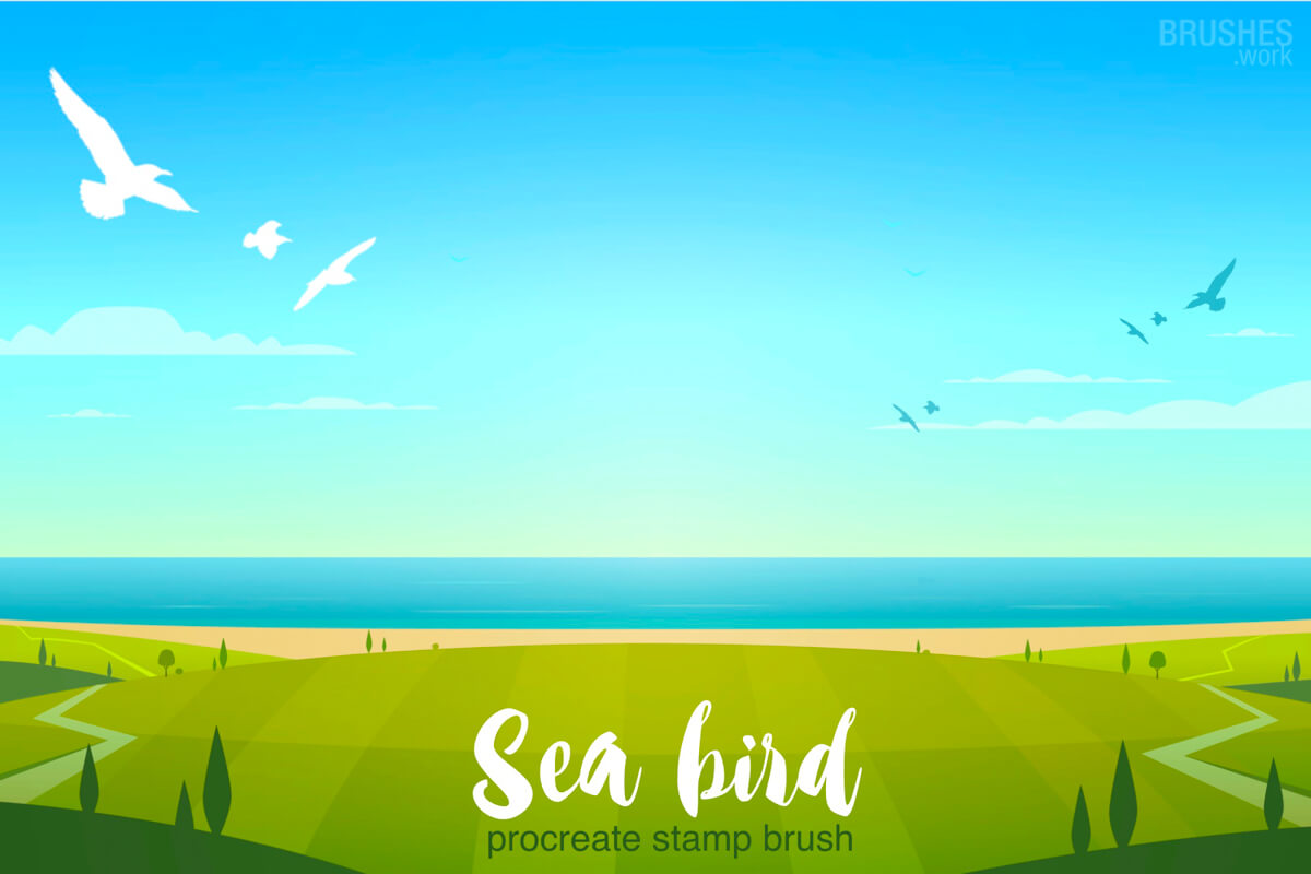 Sea Bird preview 2