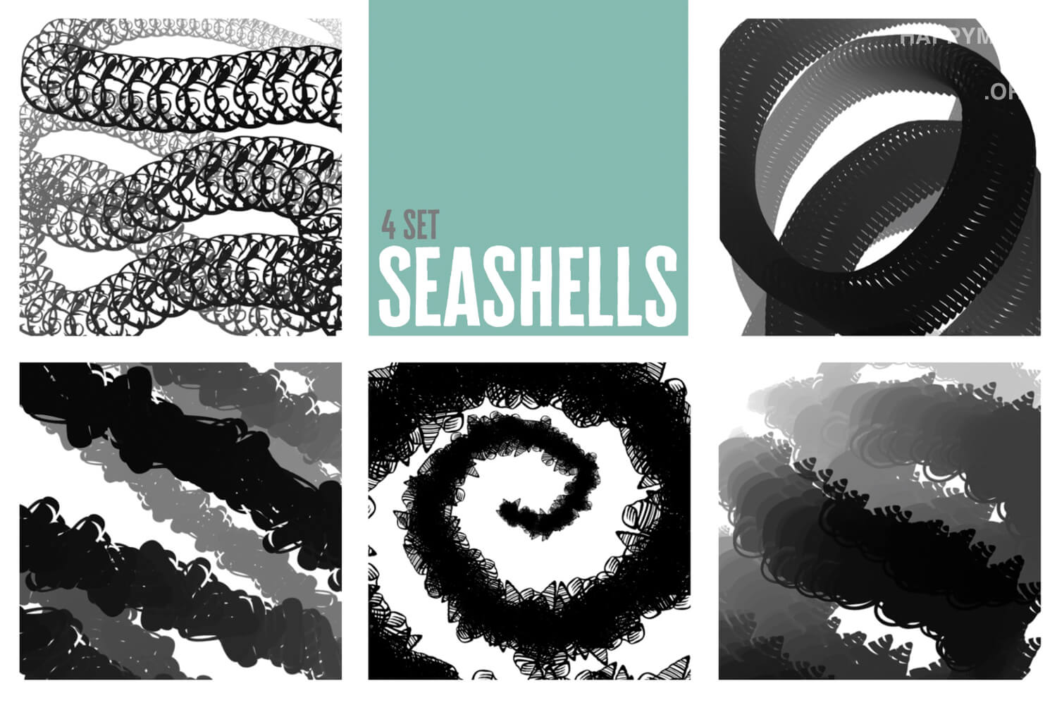 Seashells 4 Set