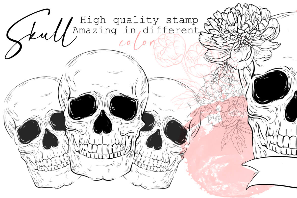 Skull preview 3
