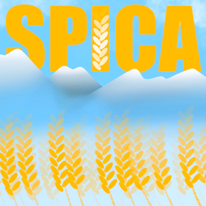 Spica