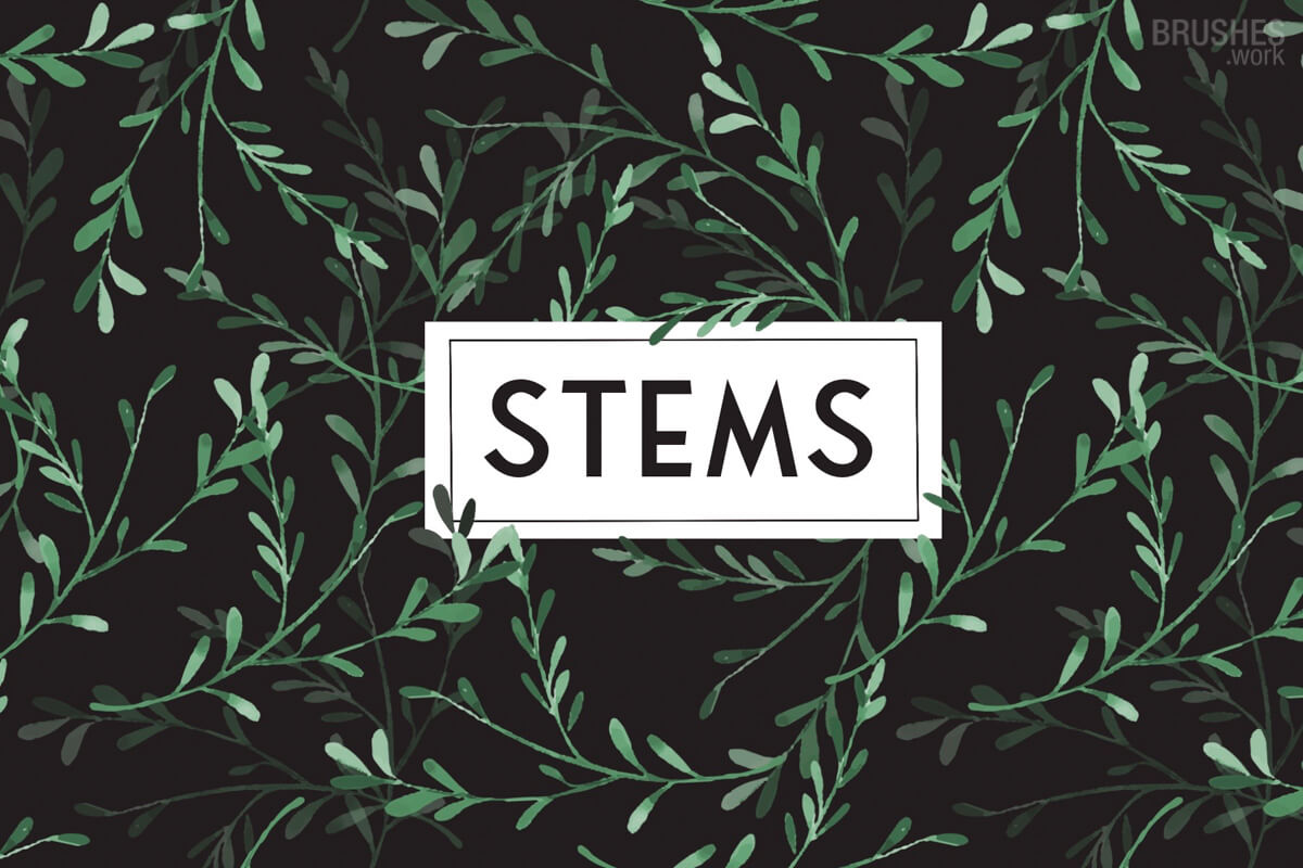 Stems preview 2