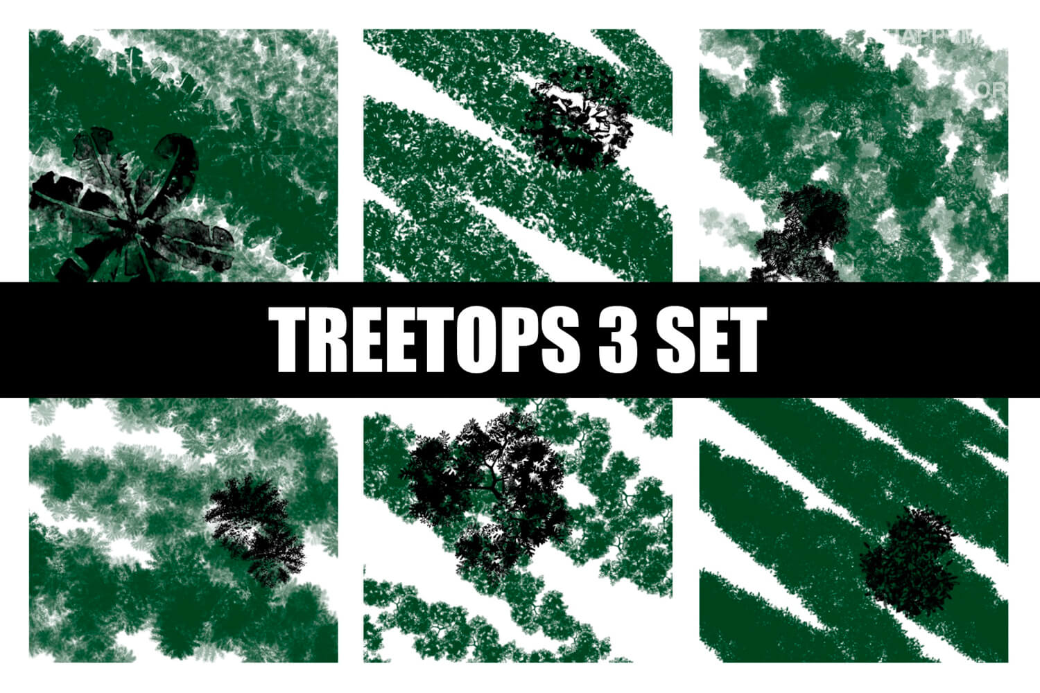 Treetops 3