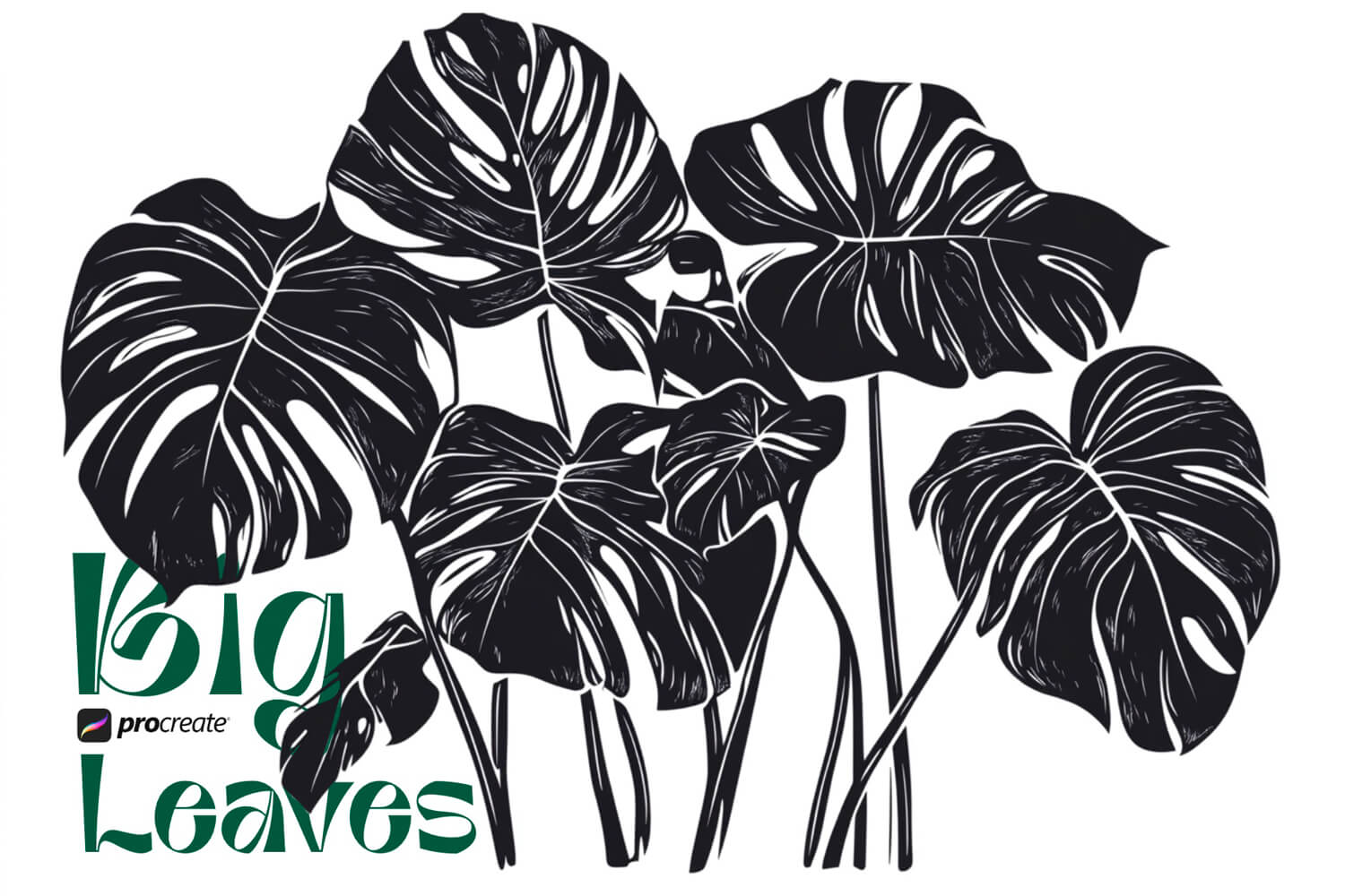 Big Leaves