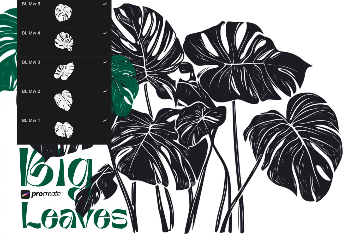 Big Leaves preview 2