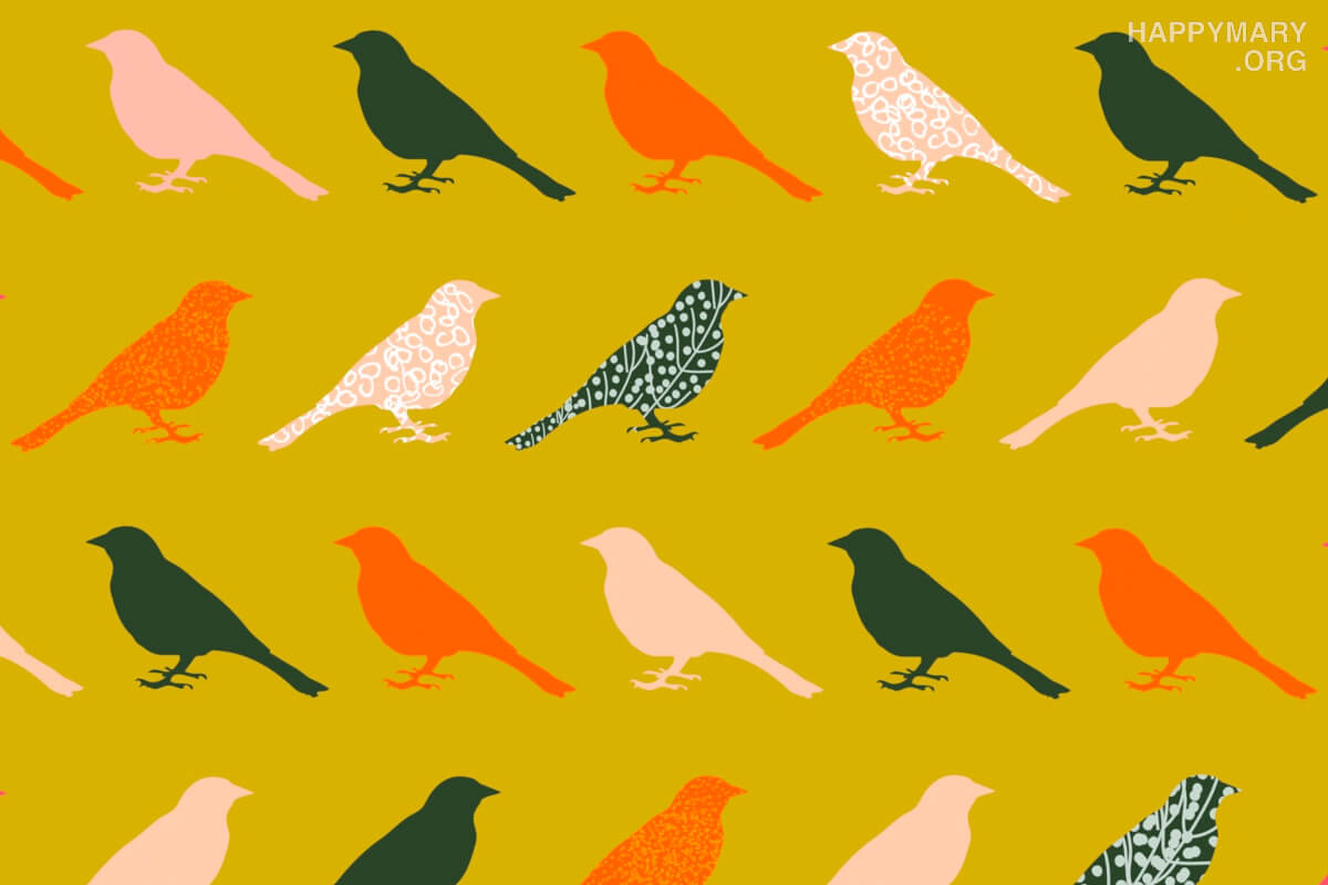 Birds 2 Set