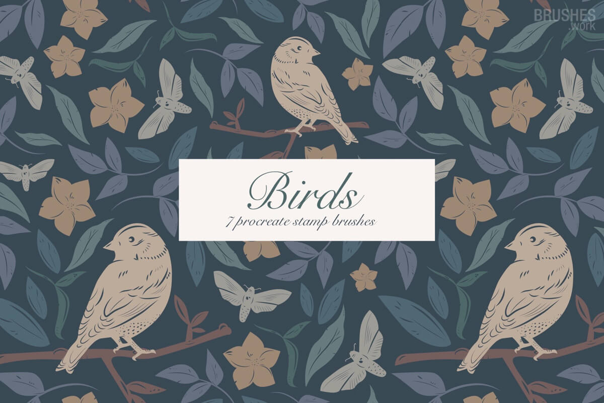 Birds Set