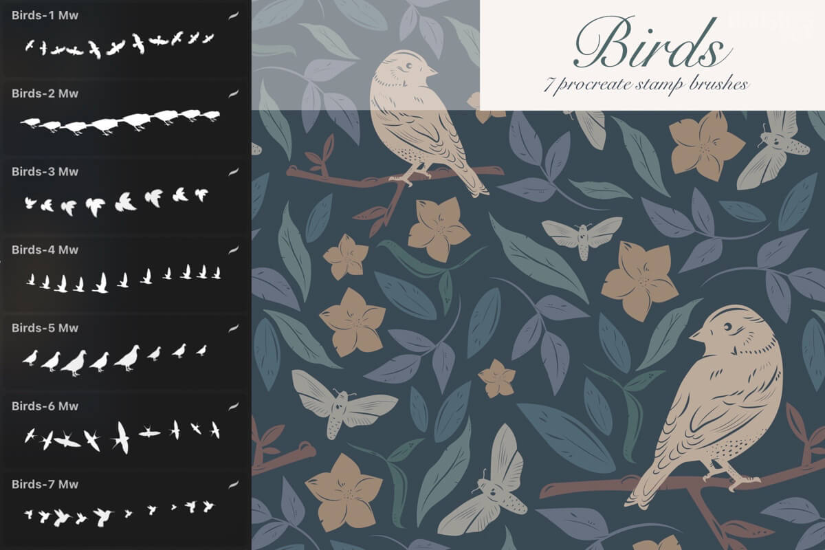 Birds Set preview 2