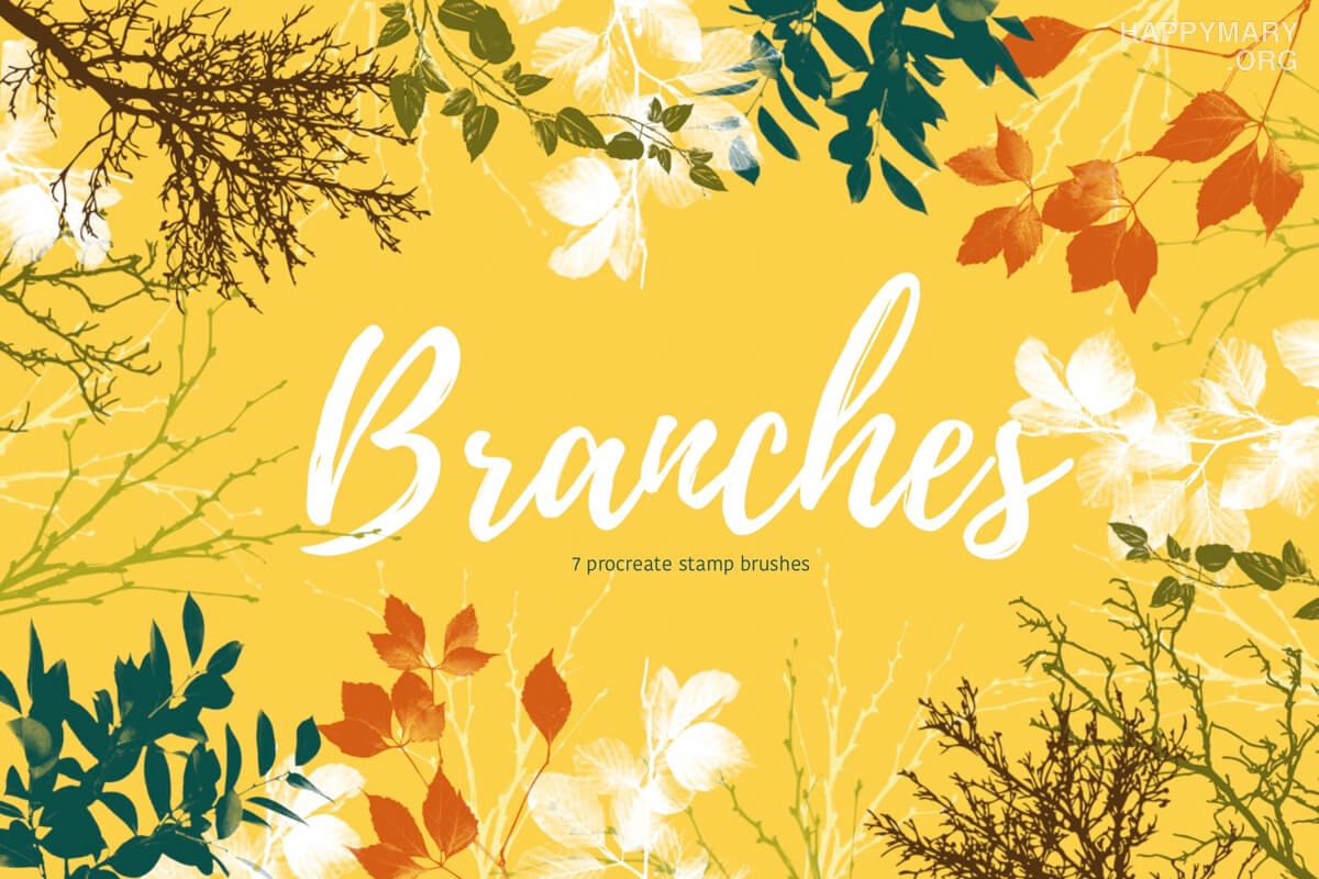 Branches