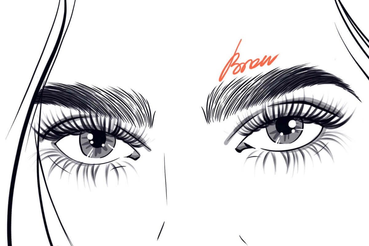 Brow