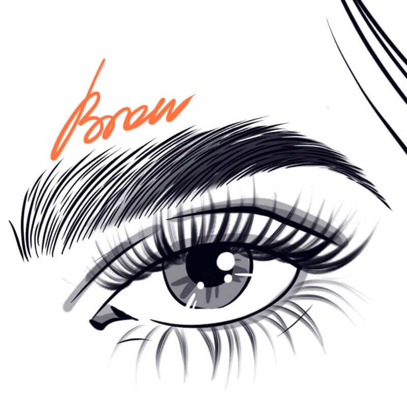 Brow preview 3