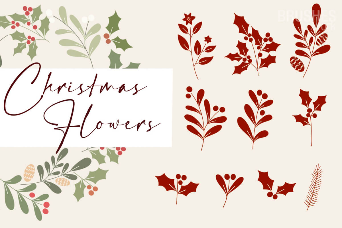 Christmas Flowers preview 4