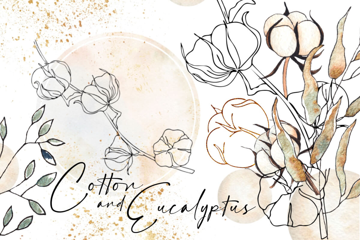 Cotton Eucalyptus