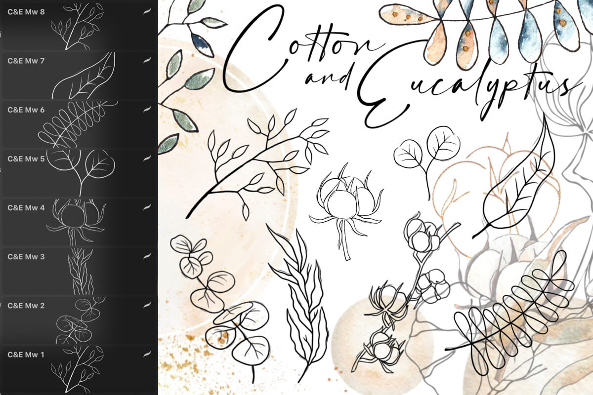 Cotton Eucalyptus preview 2