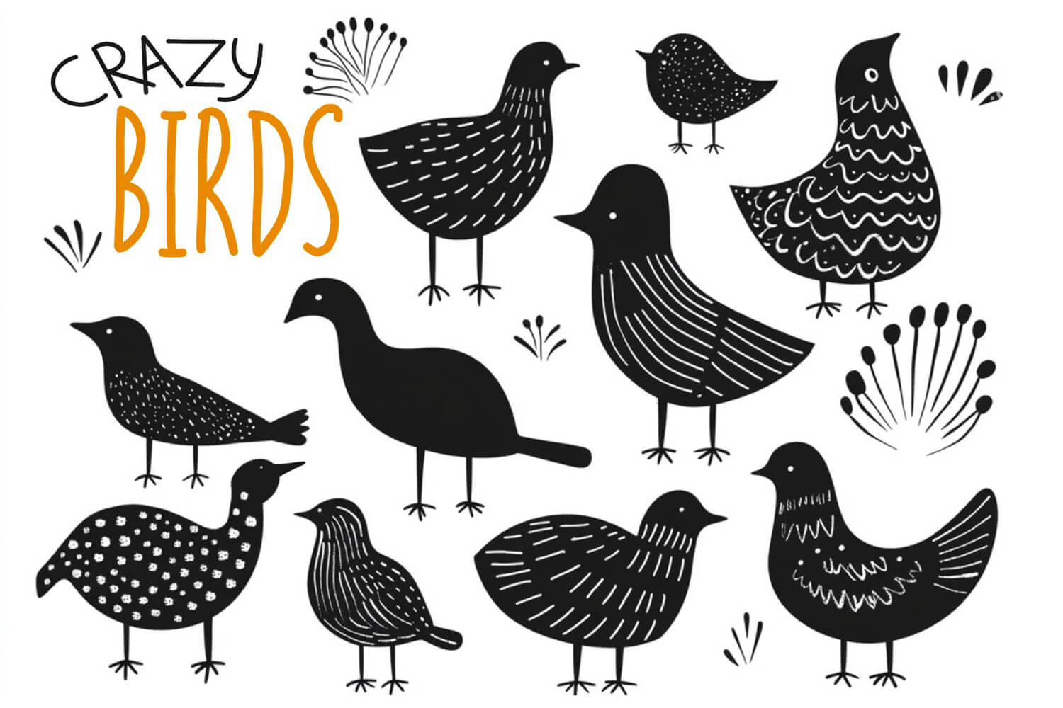 Crazy Birds