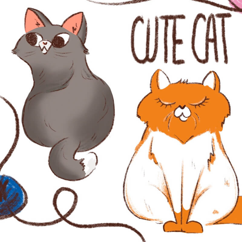 Cute Cat Set