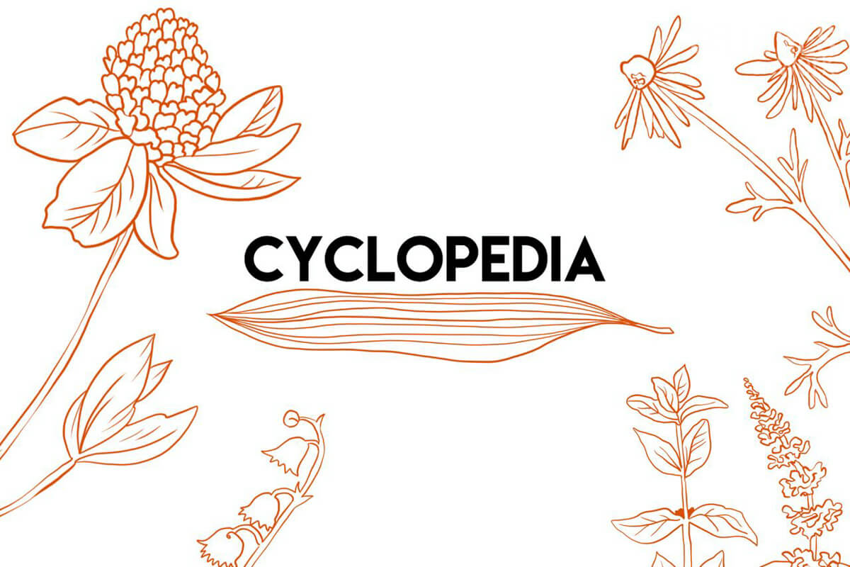 Cyclopedia