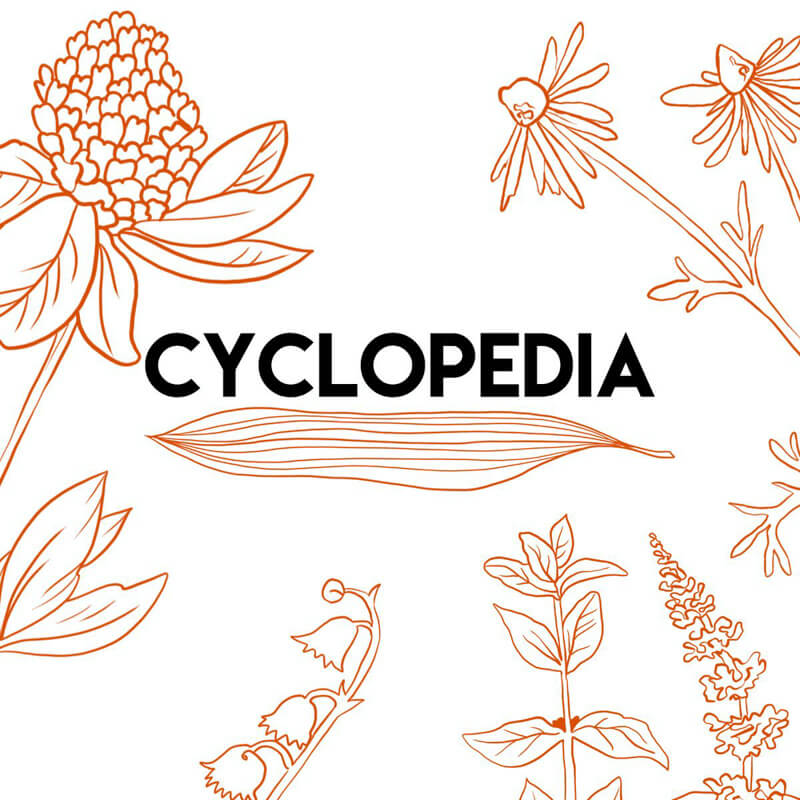 Cyclopedia preview 5