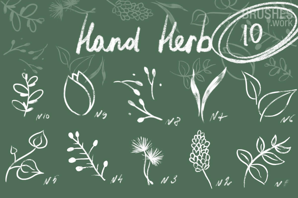 Hand Herb preview 2