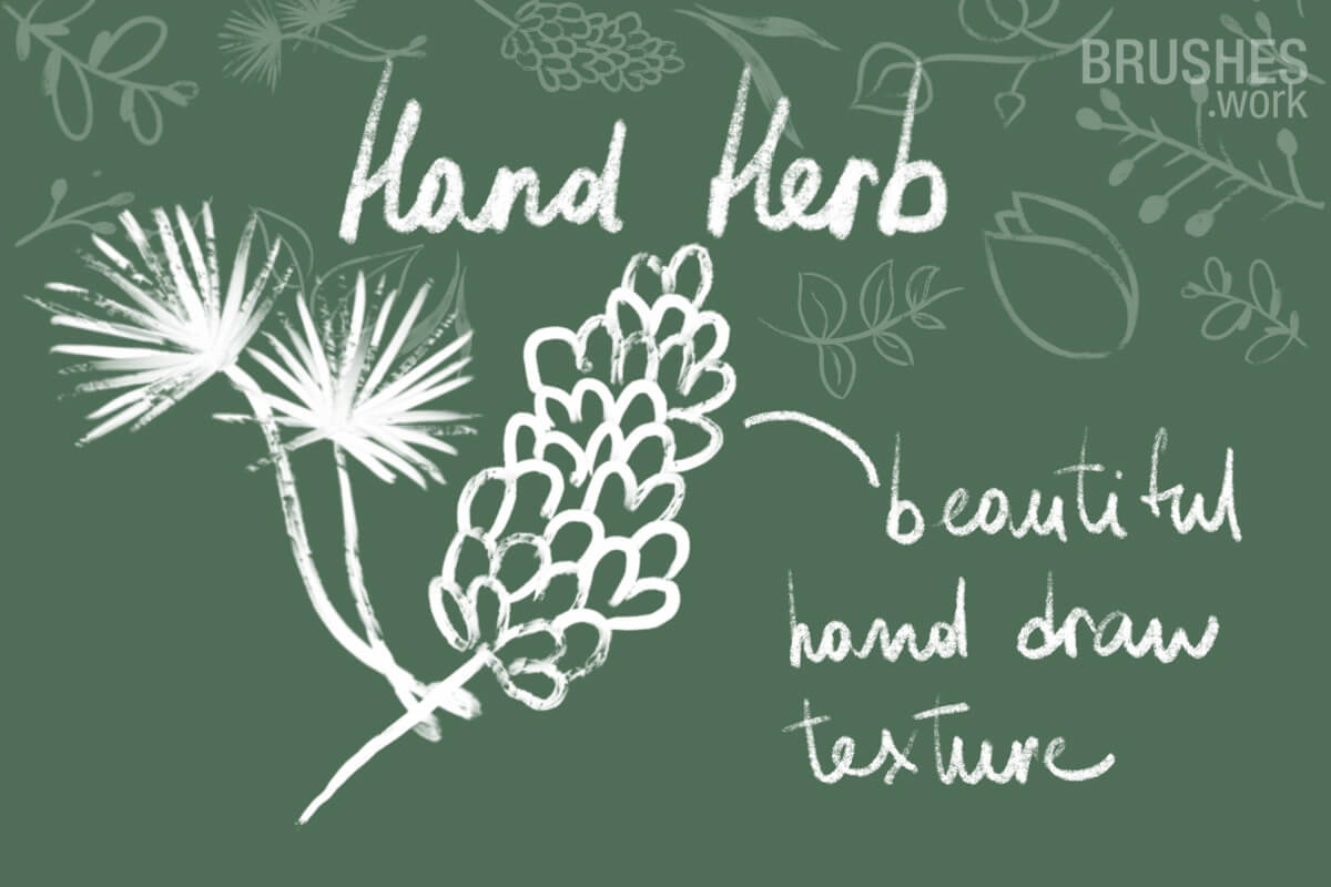 Hand Herb preview 3