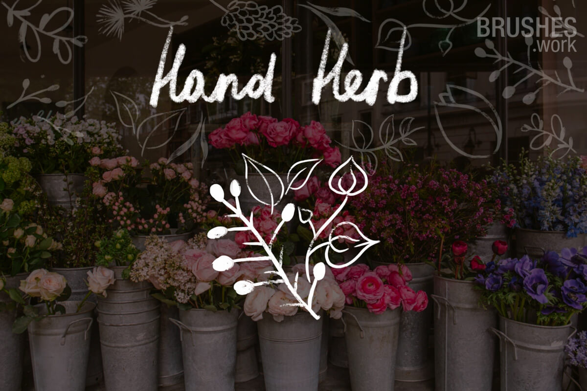 Hand Herb preview 4