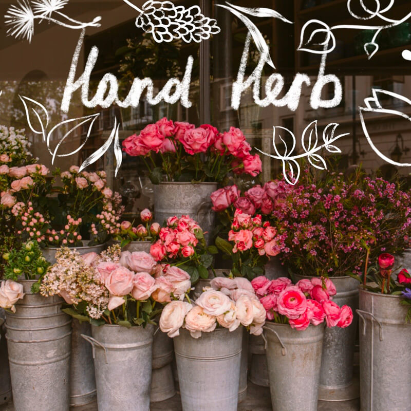 Hand Herb preview 5