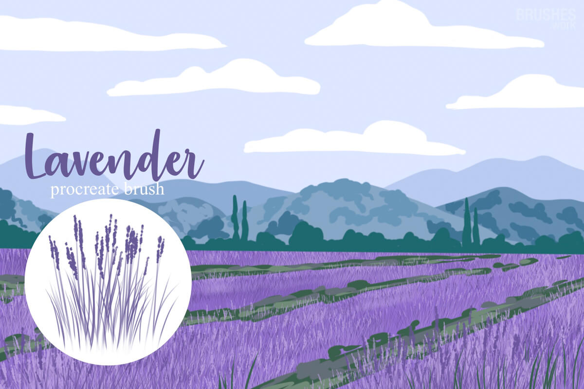 Lavender Grass