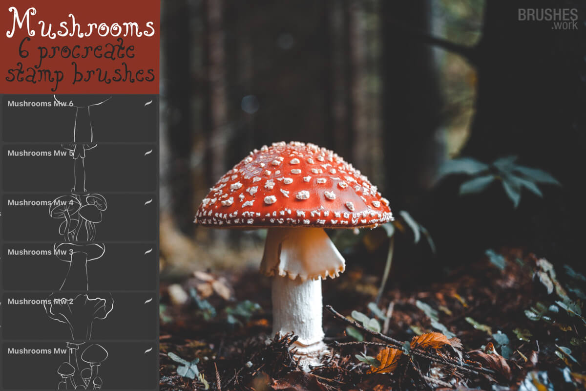 Mushrooms