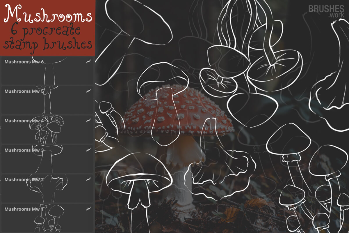 Mushrooms preview 2