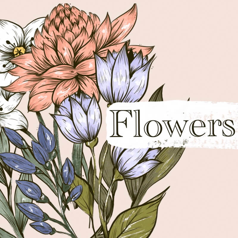 Mw Flowers Set preview 2