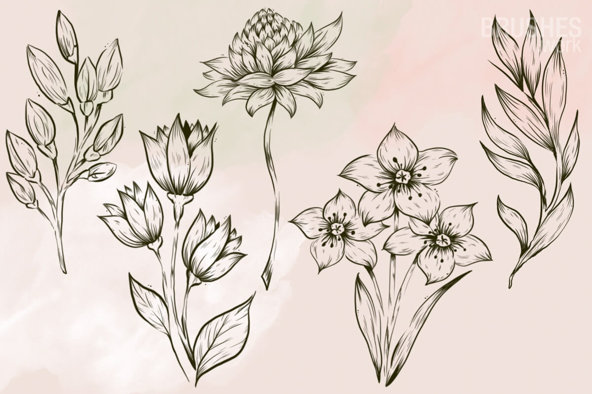 Mw Flowers Set preview 5
