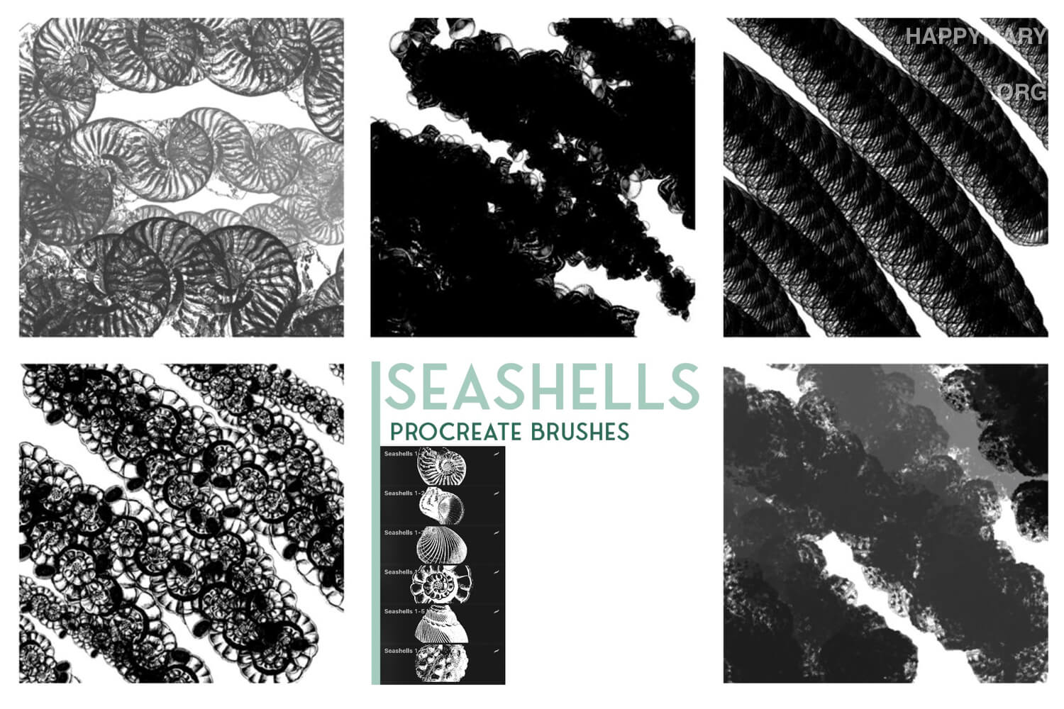 Mw Seashells 1 preview 2
