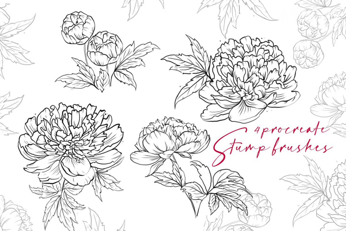 Peony