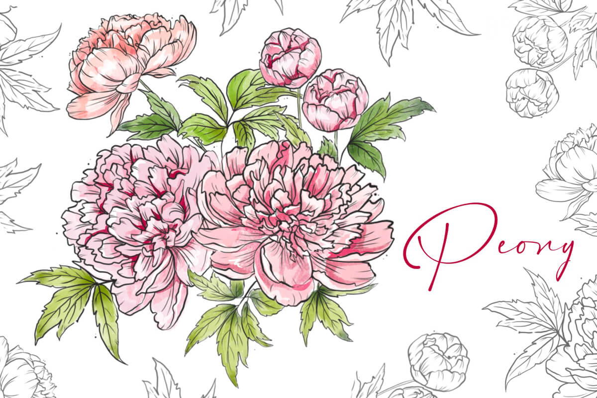 Peony preview 4
