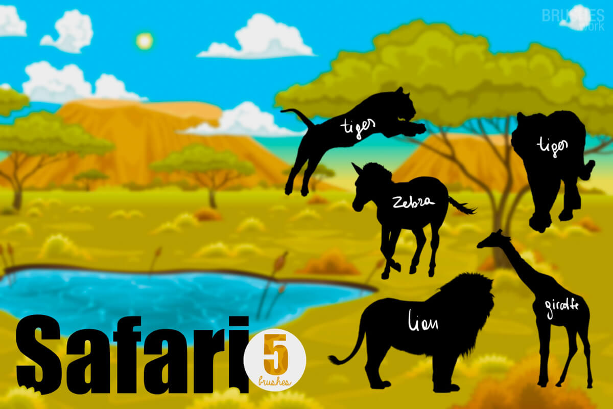 Safari