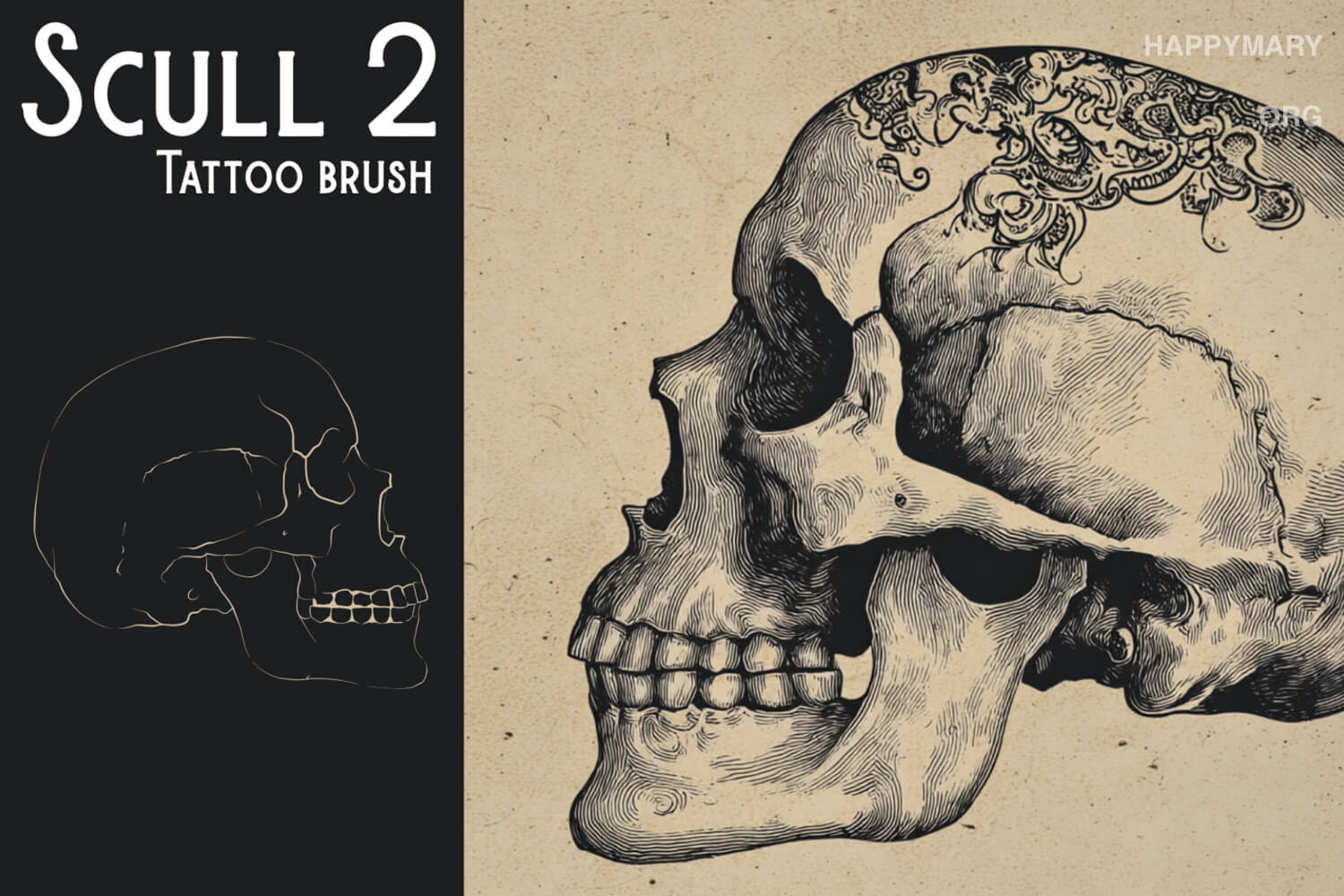 Scull 2 preview 2