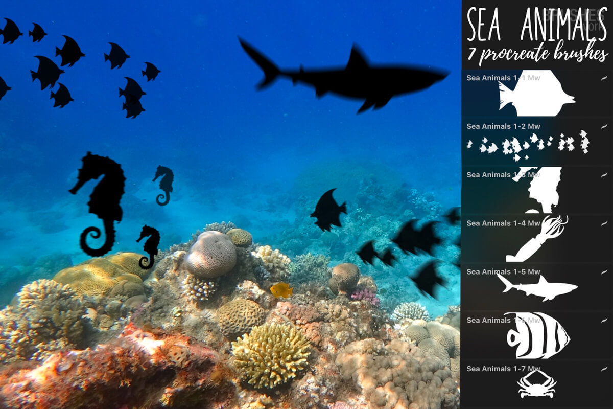 Sea Animals 1