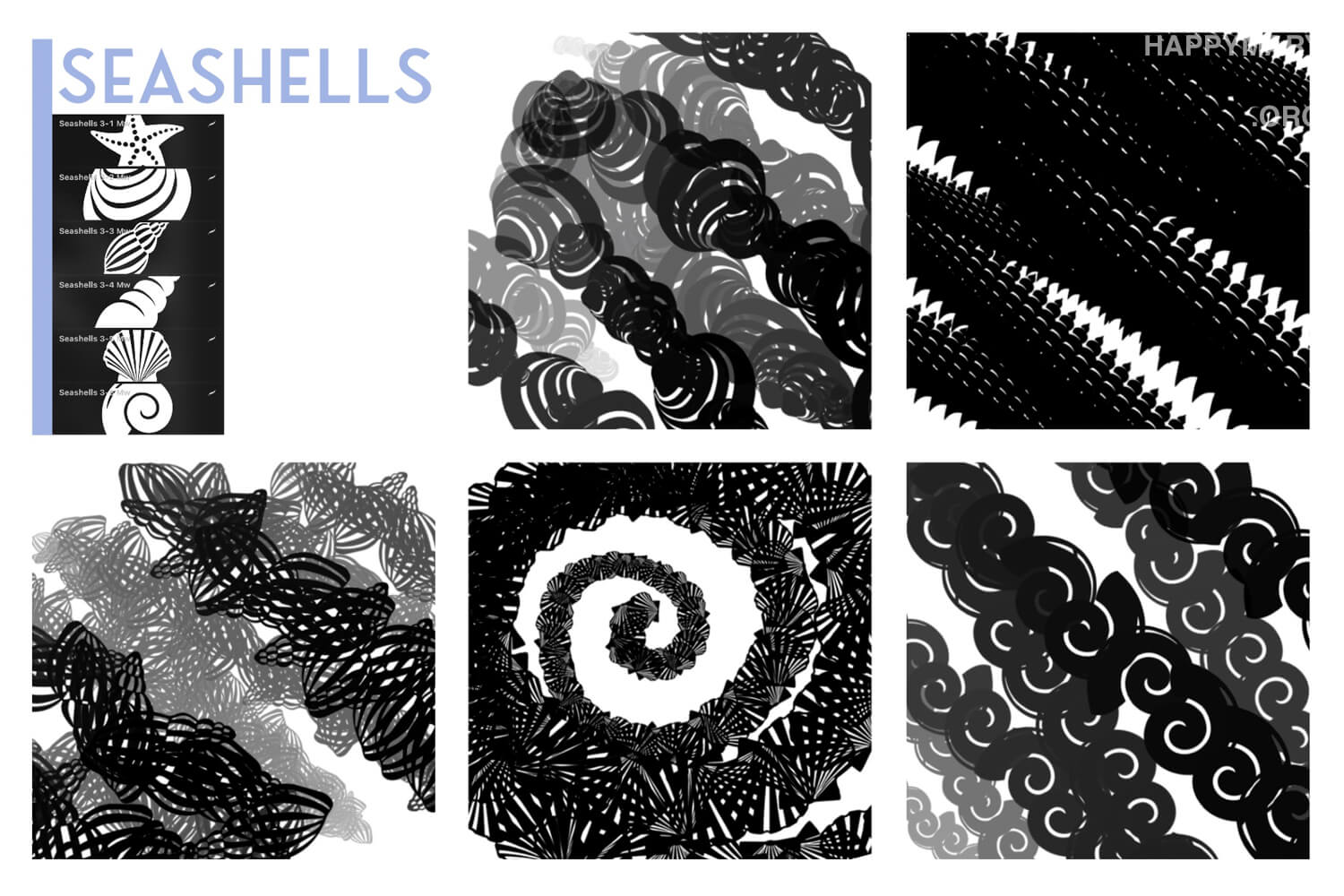 Seashells 3