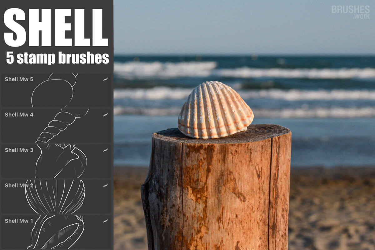 Shell