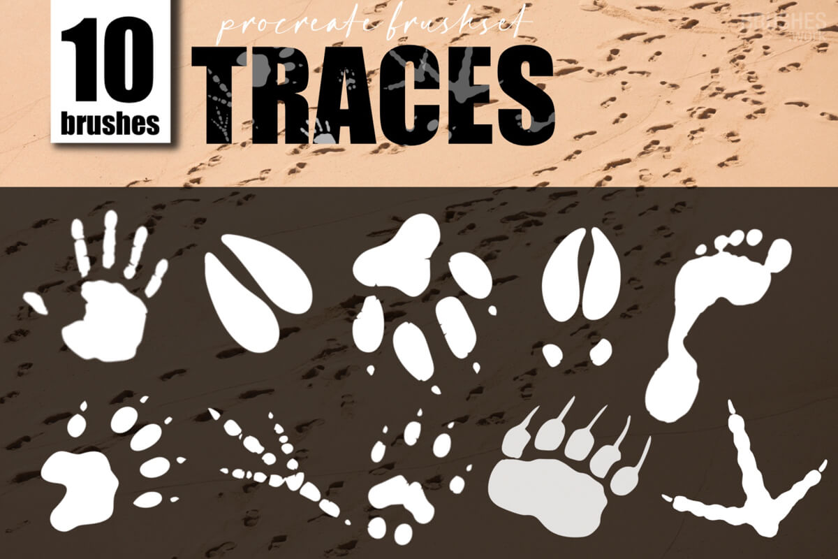 Traces preview 2