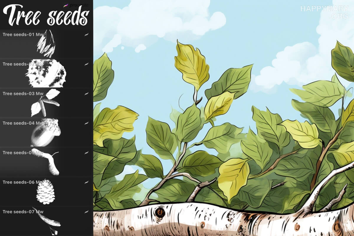 Tree Seeds Set