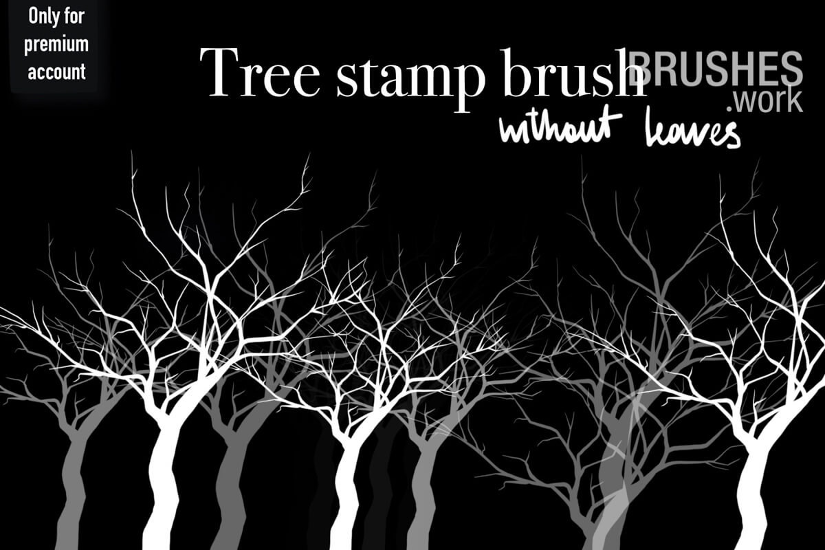 Tree Without Leaves preview 2