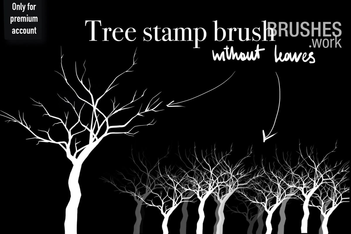 Tree Without Leaves preview 3