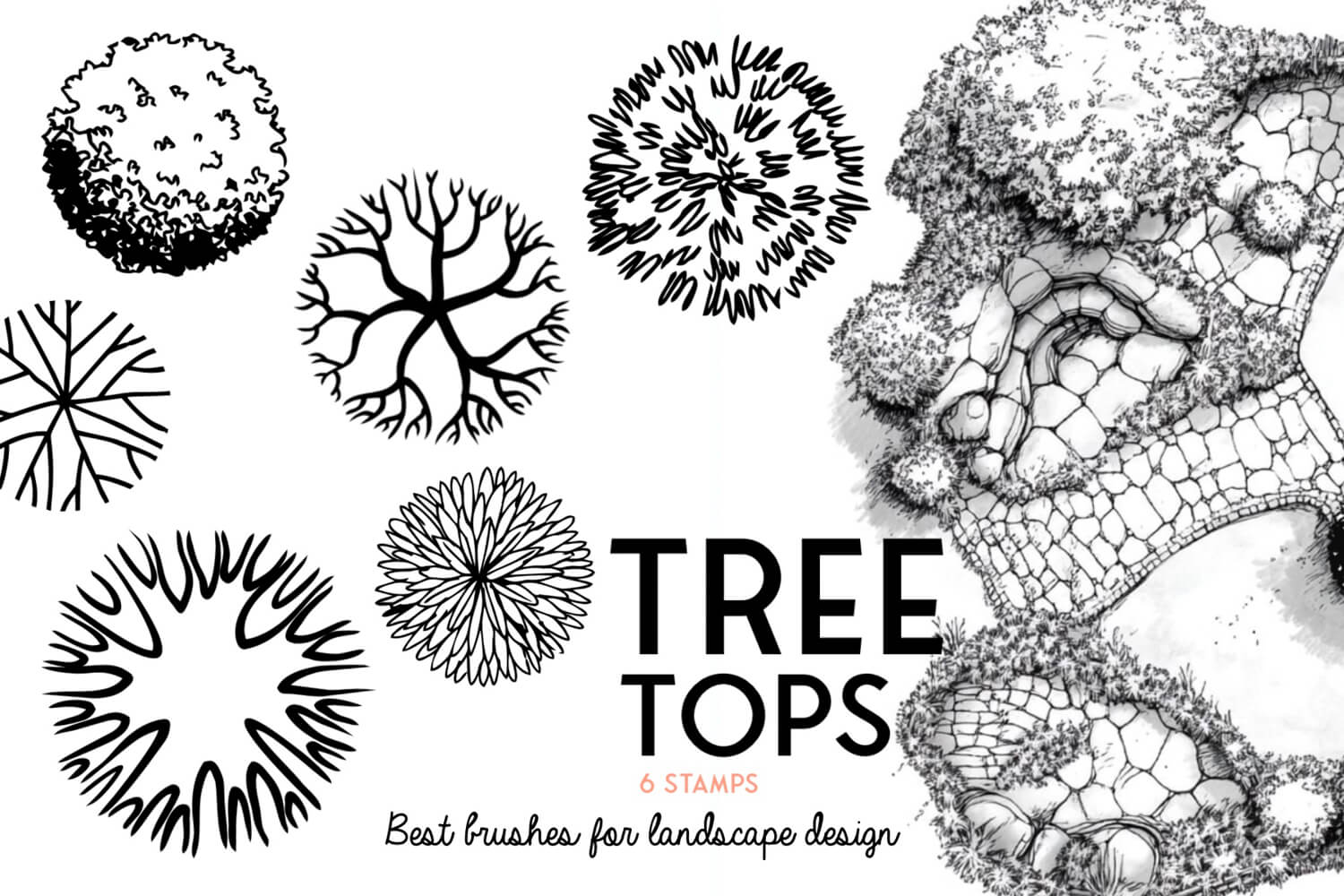 Treetops 2