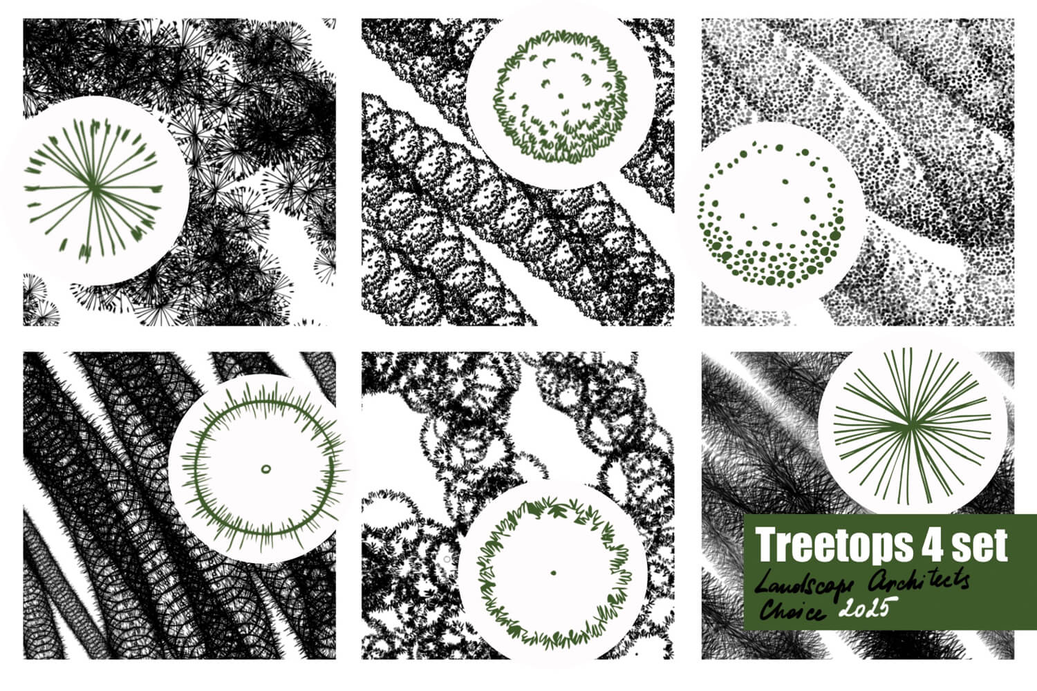 Treetops 4
