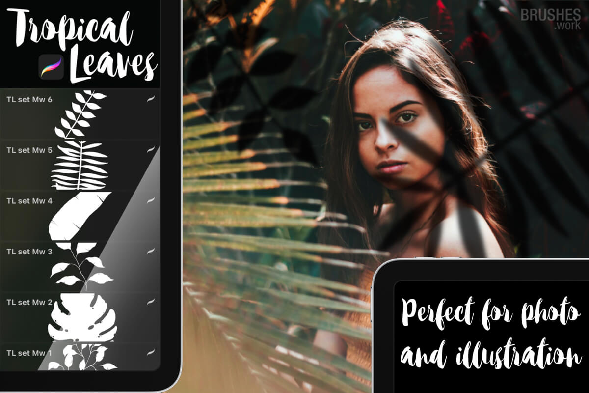 Tropical Leaves Set
