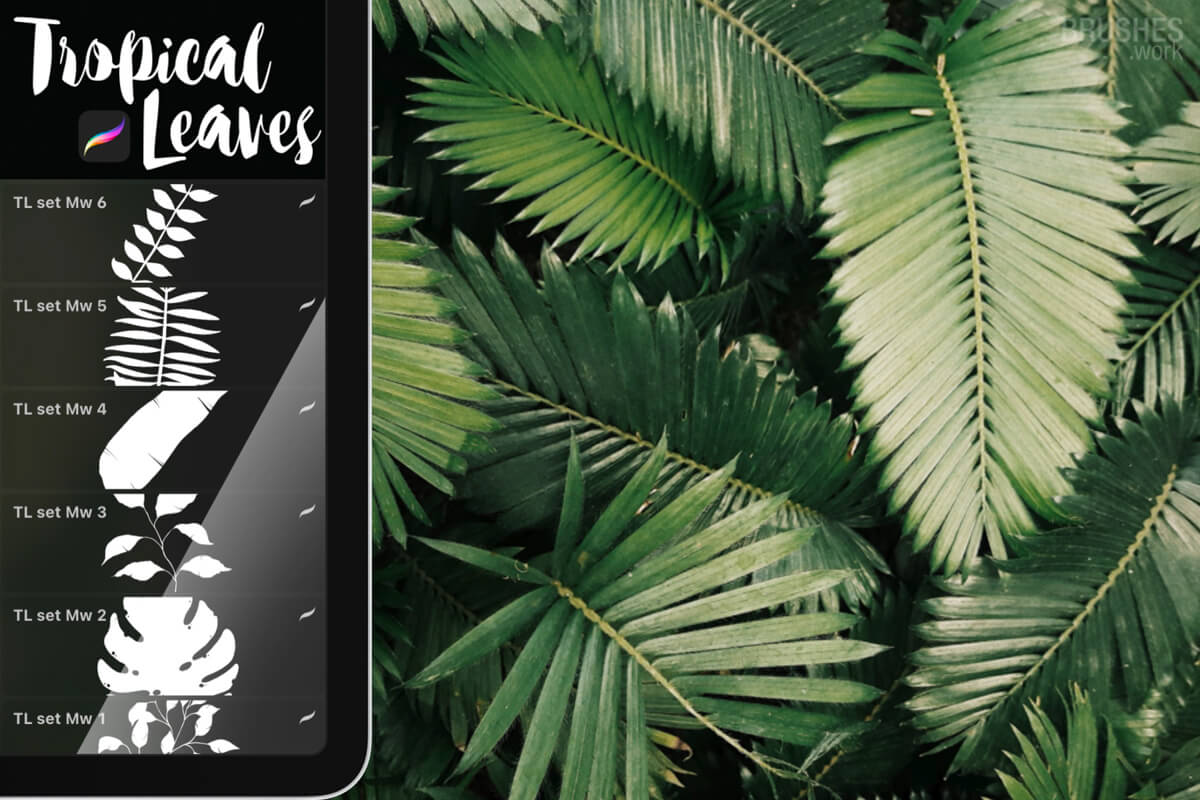 Tropical Leaves Set preview 2